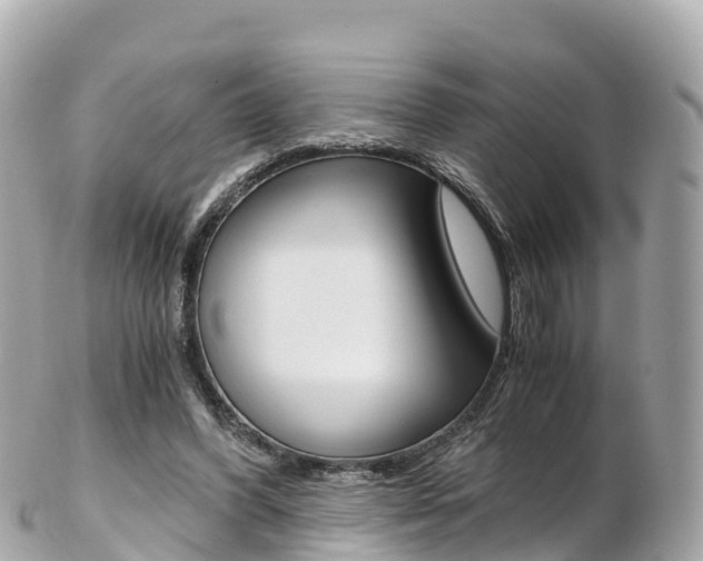 X0000103310396200808291157