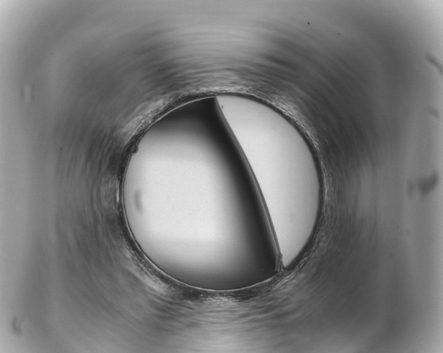 X0000103310397200808291157