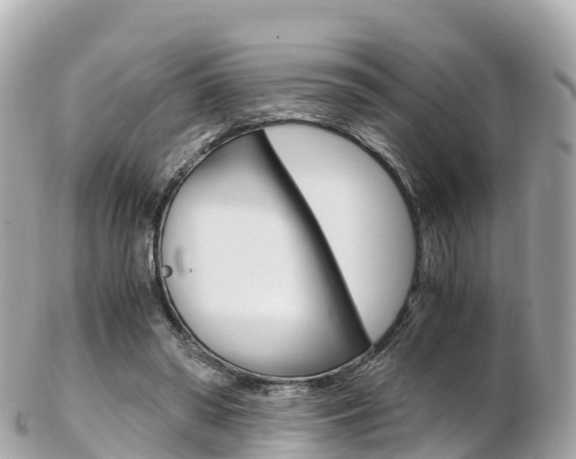 X0000103310398200808291157
