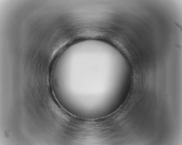 X0000103310399200808291157