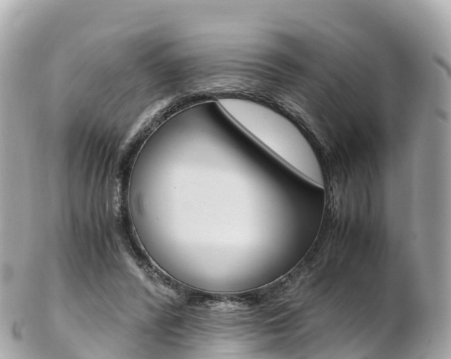 X0000103310400200808291157