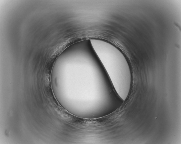 X0000103310401200808291157