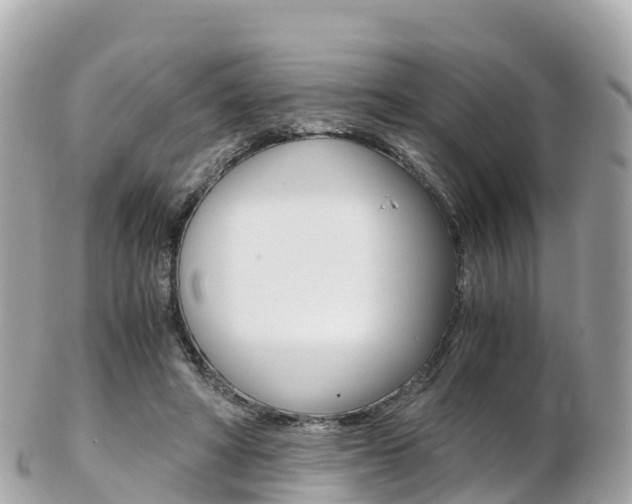 X0000103310402200808291157
