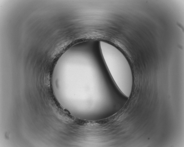 X0000103310403200808291157