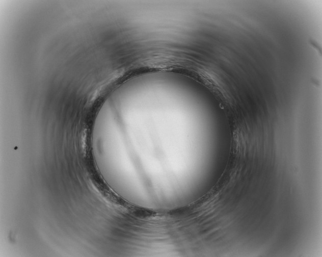 X0000103310404200808291157
