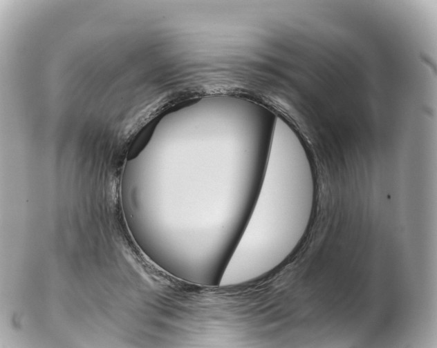 X0000103310405200808291157