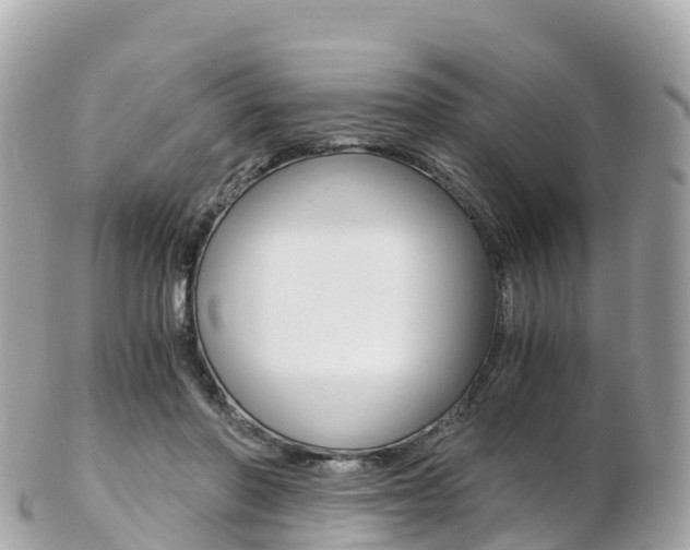 X0000103310406200808291157