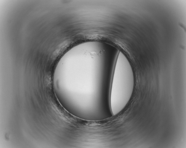 X0000103310407200808291157