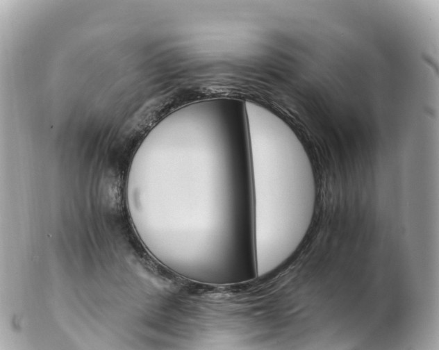 X0000103310408200808291157