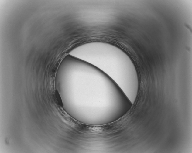 X0000103310409200808291157