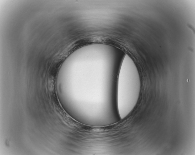 X0000103310413200808291157