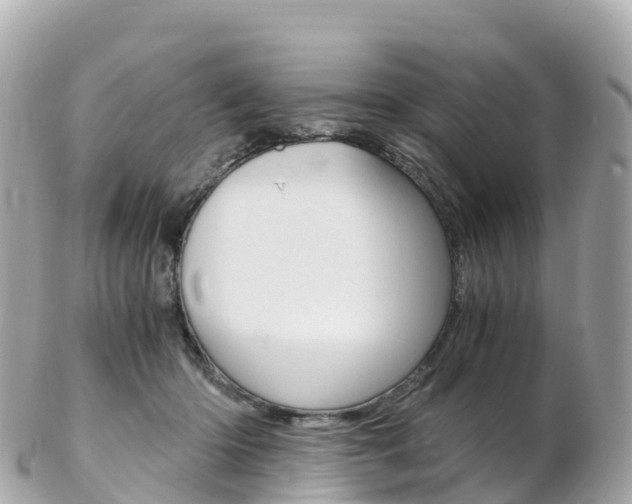 X0000103310414200808291157