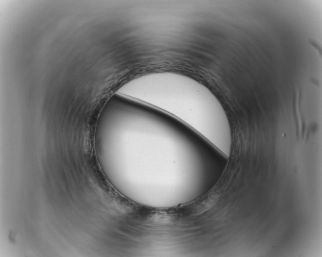 X0000103310416200808291157