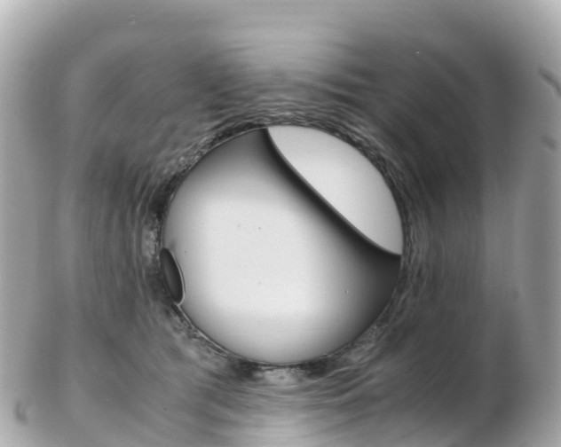 X0000103310417200808291157