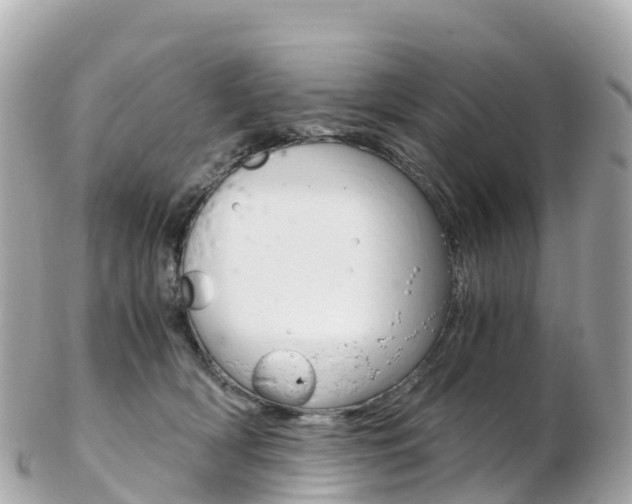 X0000103310418200808291157