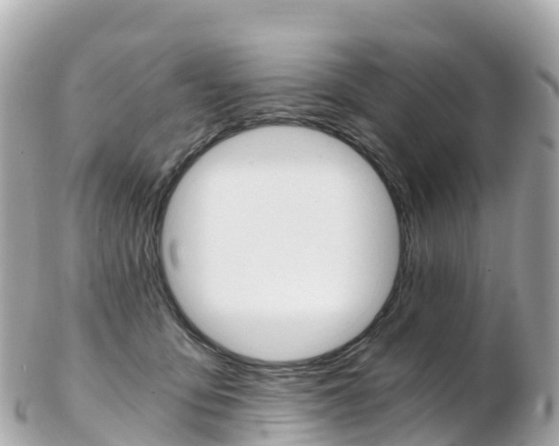 X0000103310419200808291157