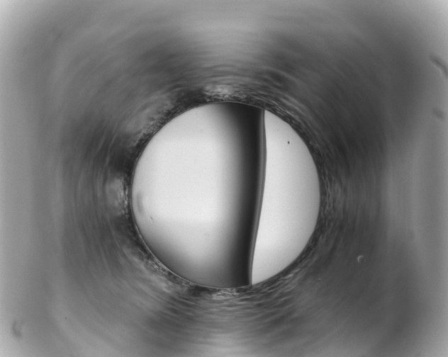 X0000103310420200808291157