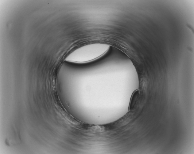 X0000103310421200808291157