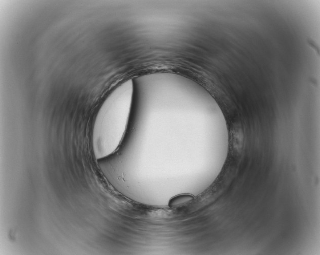 X0000103310422200808291156