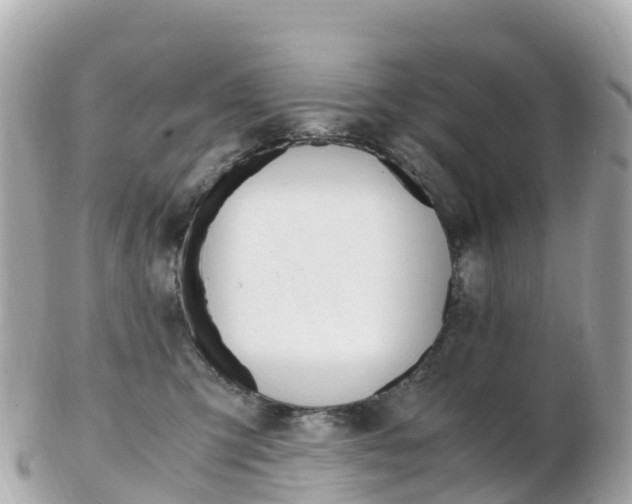 X0000103310423200808291156