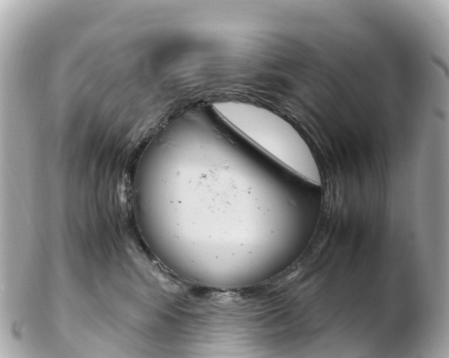 X0000103310424200808291156