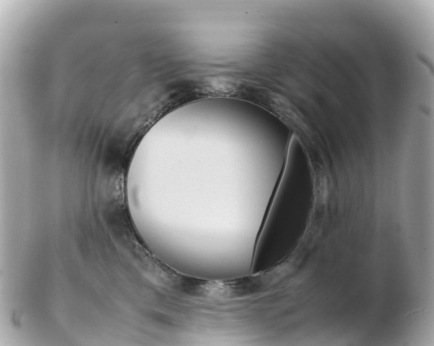 X0000103310425200808291156