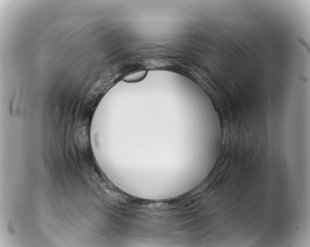 X0000103310426200808291156