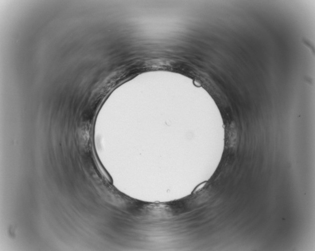 X0000103310427200808291156