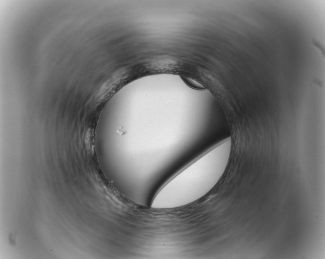 X0000103310428200808291156