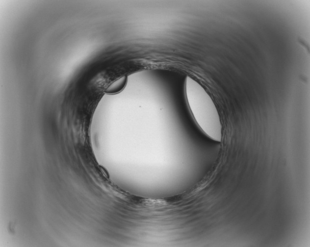 X0000103310429200808291156