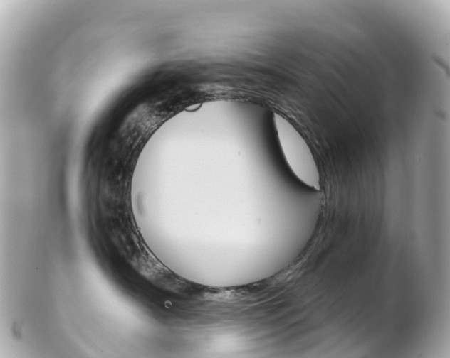 X0000103310430200808291156