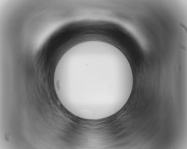 X0000103310431200808291156