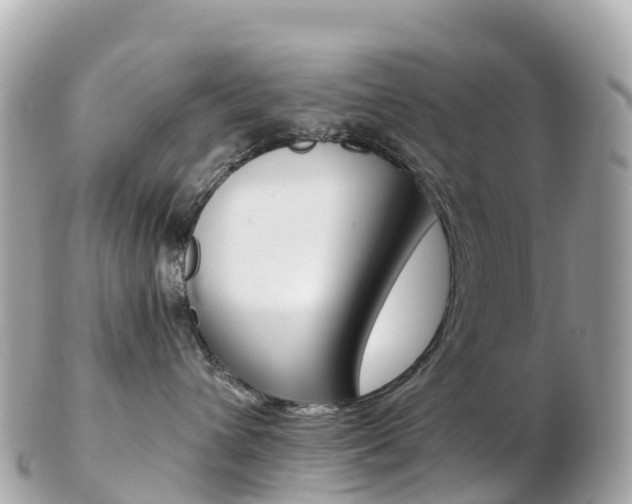 X0000103310432200808291156