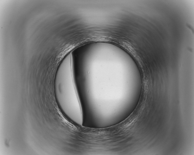 X0000103310433200808291156