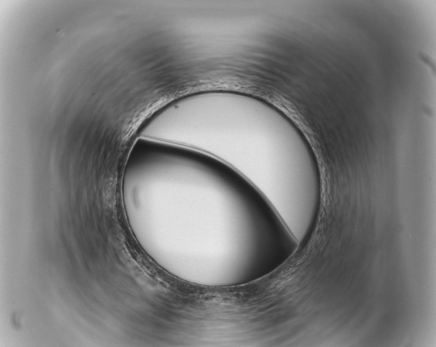 X0000103310434200808291156
