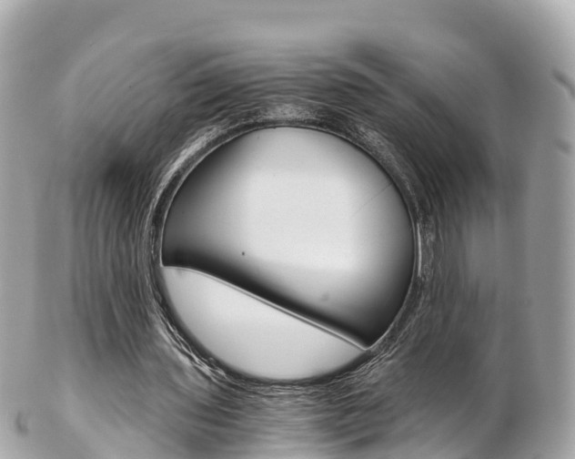 X0000103310435200808291156