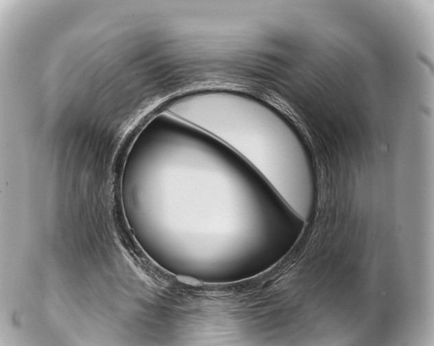 X0000103310436200808291156