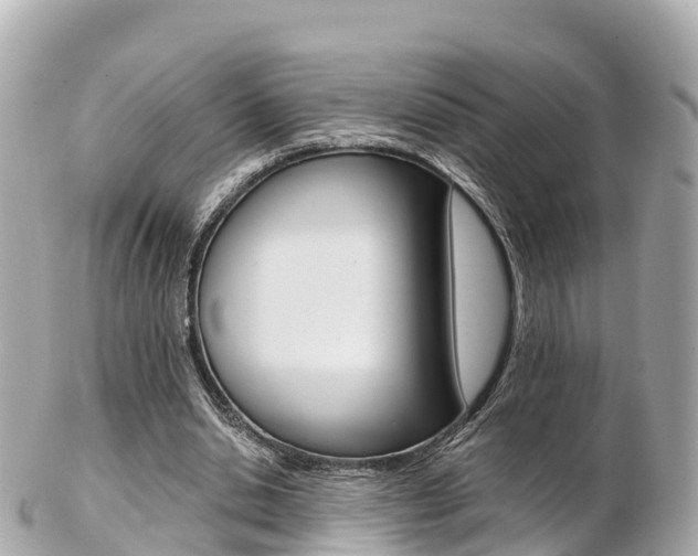 X0000103310438200808291156