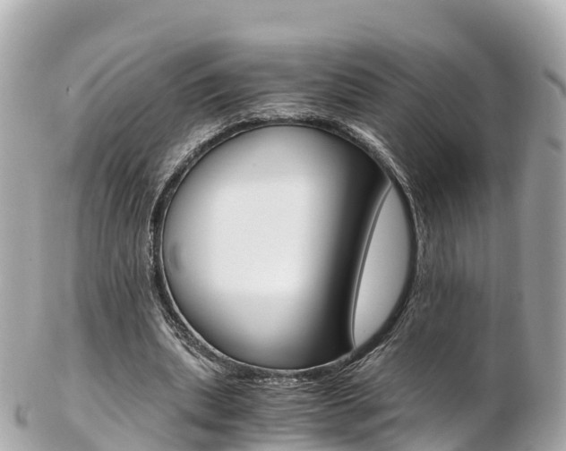 X0000103310439200808291156