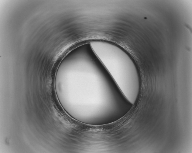 X0000103310440200808291156