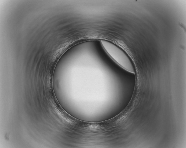 X0000103310441200808291156