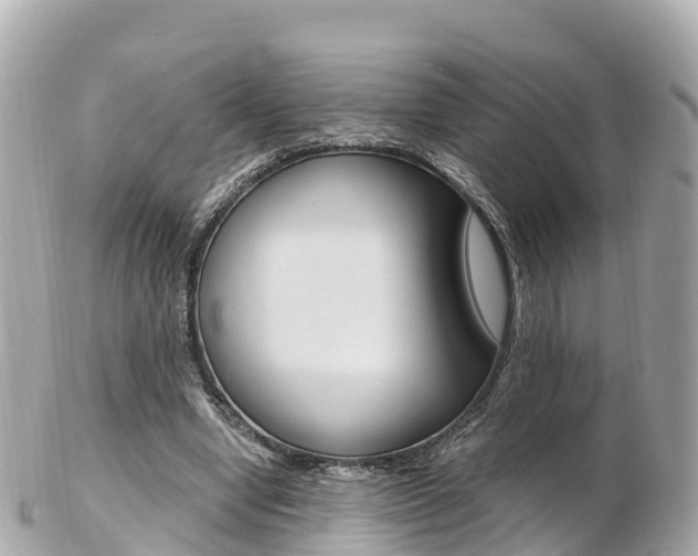X0000103310442200808291156