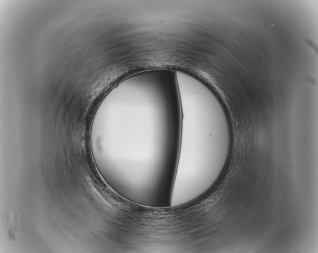 X0000103310443200808291156