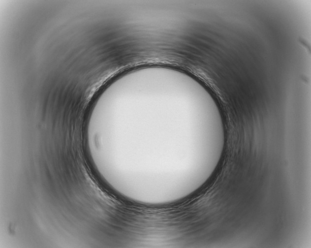 X0000103310444200808291156