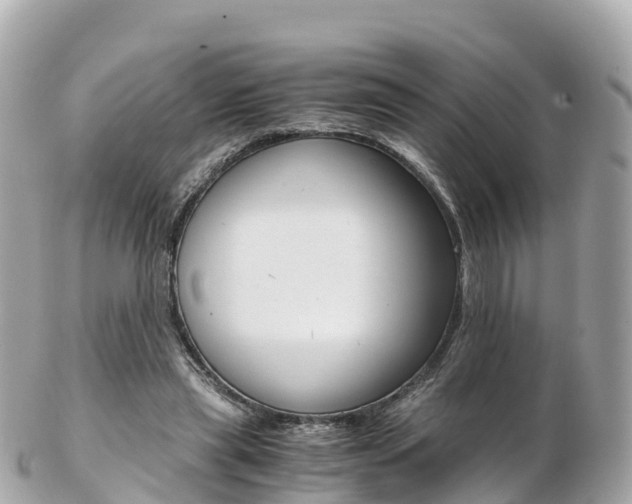X0000103310445200808291156