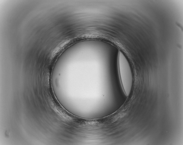 X0000103310446200808291156