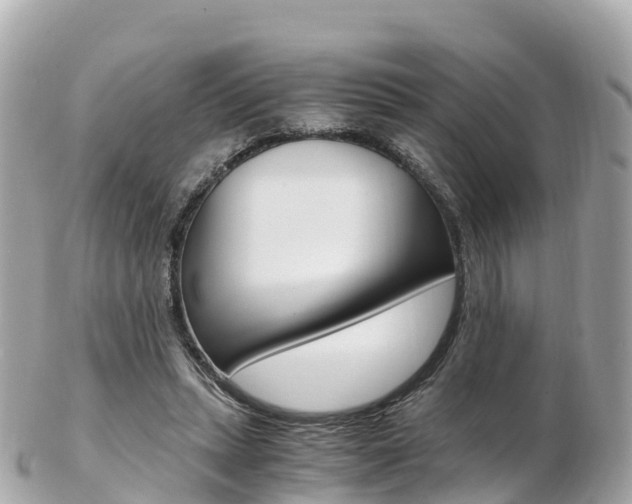 X0000103310447200808291156
