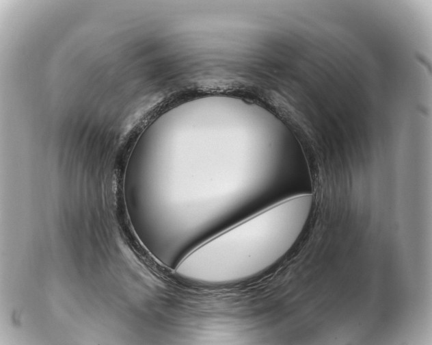 X0000103310448200808291156