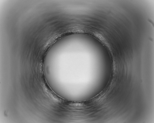 X0000103310449200808291156