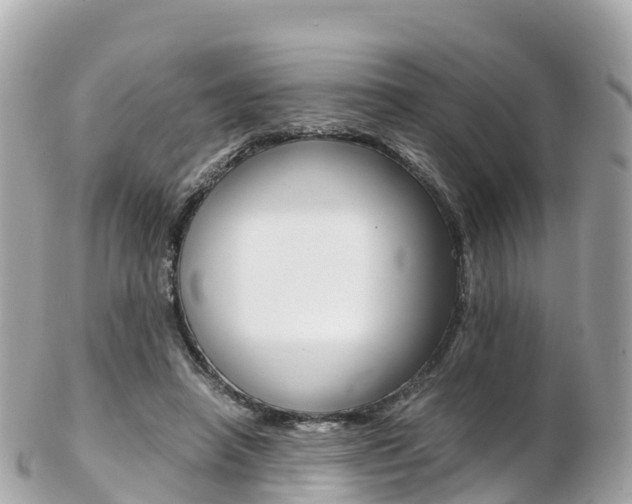 X0000103310450200808291156